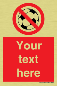 Custom No Ball Games Sign